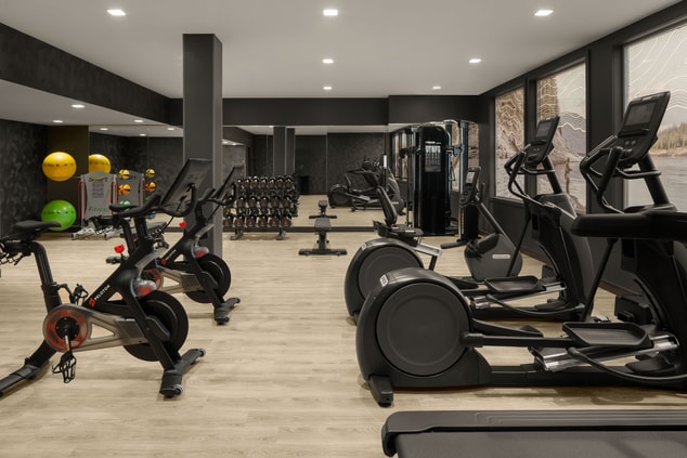 Gym/fitness center/workout equipment 