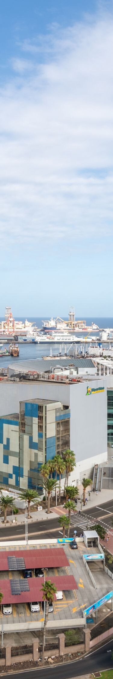 Panoramic view of harbor and city skyline
