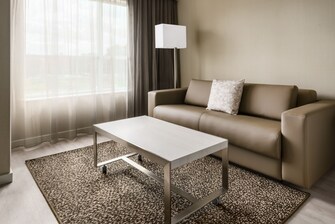 Guest Room Sofa-Bed