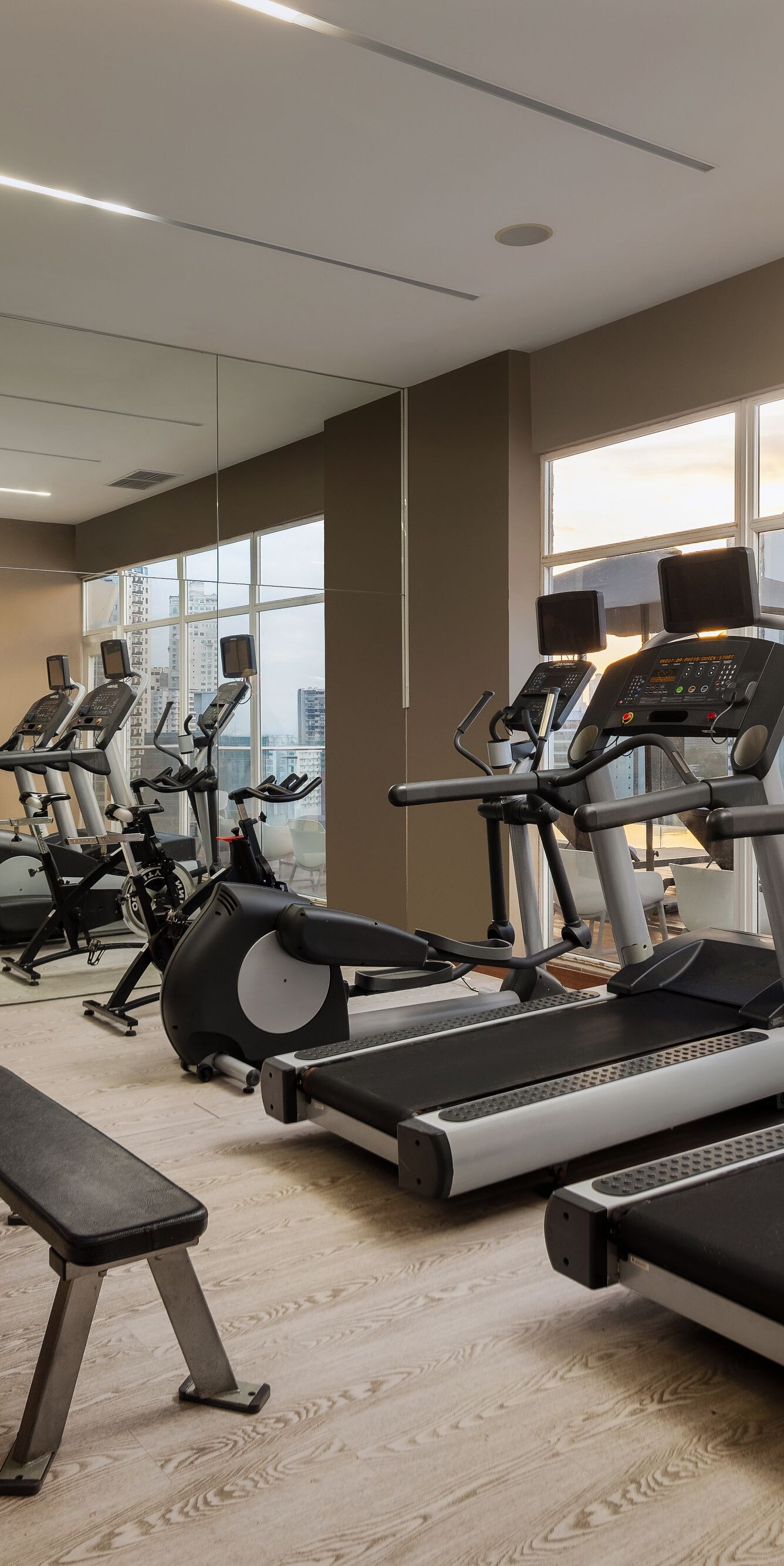 Máquinas de entrenamiento cardiovascular del gimnasio