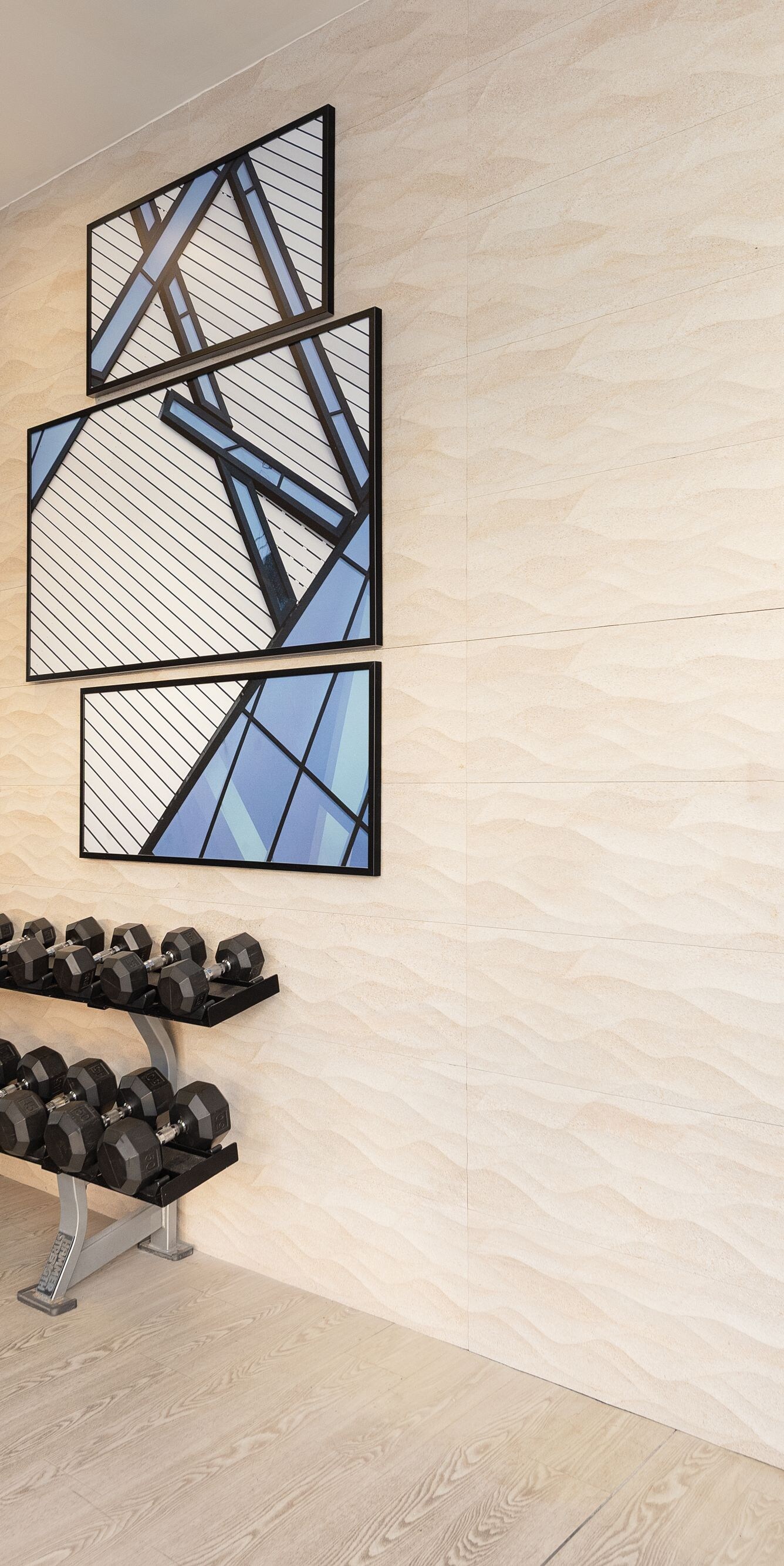 Banco de pesas y pesas del gimnasio