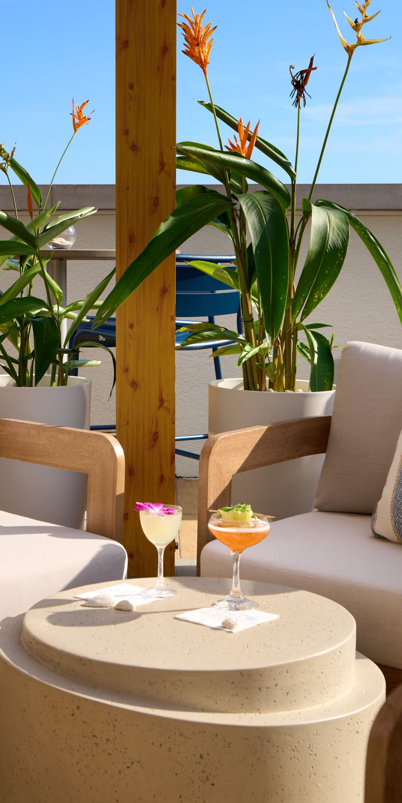 Rooftop terrace with cocktails and seating