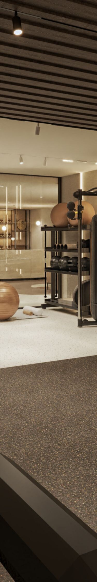 Fitness center with cardio and strength equipment
