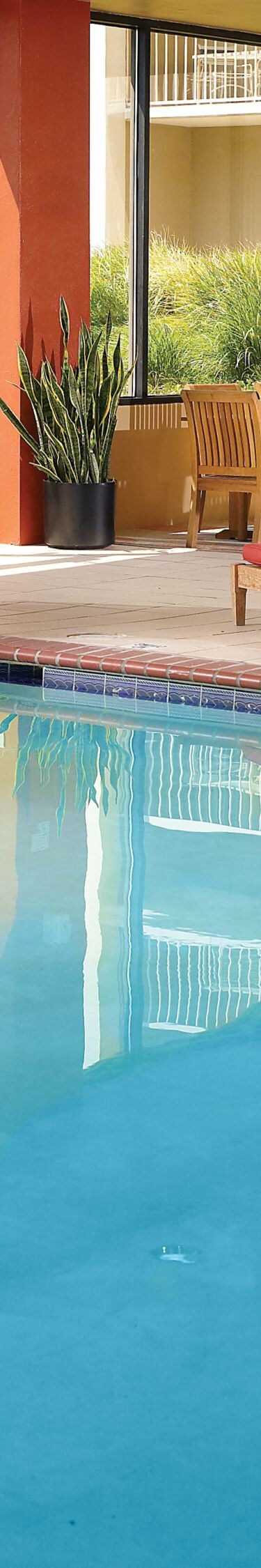 Indoor/Outdoor Pool