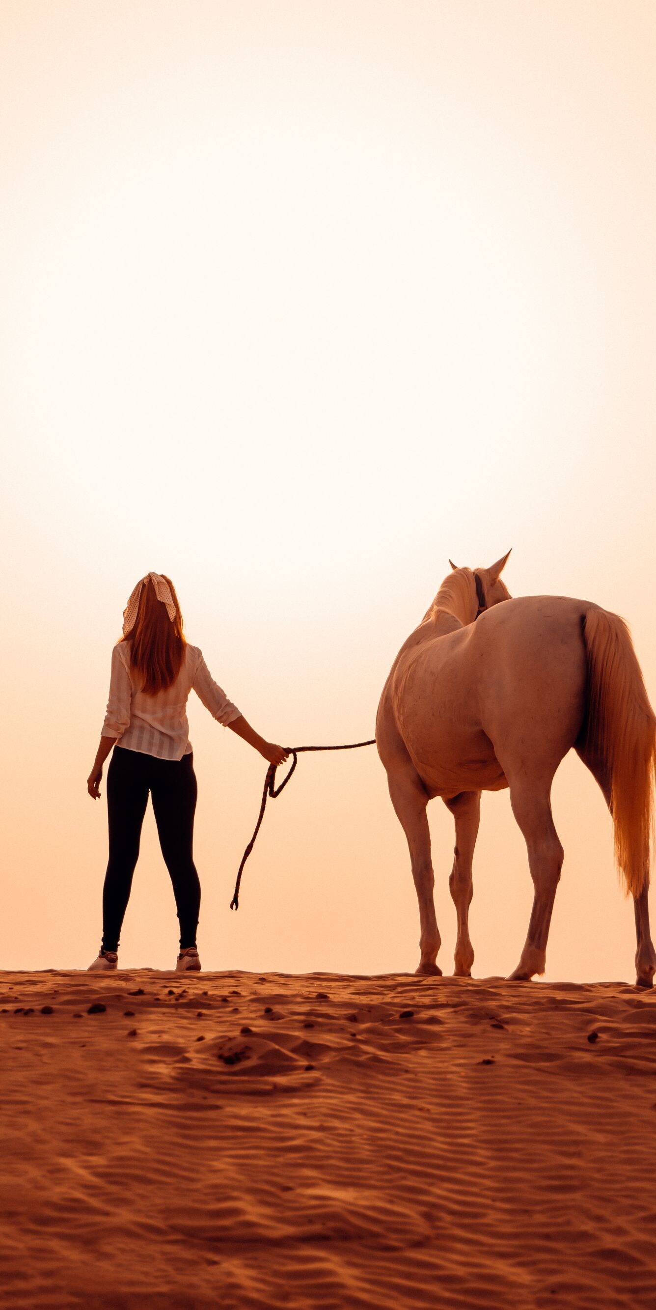 ركوب الخيل