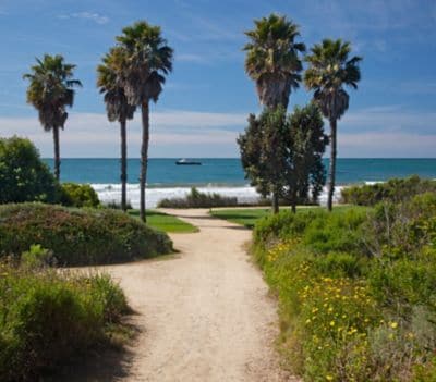 A pathway leading to the beach