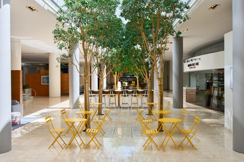 yellow table and chair with trees