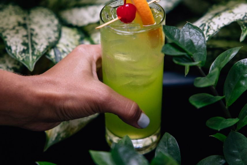 Bebida verde y follaje