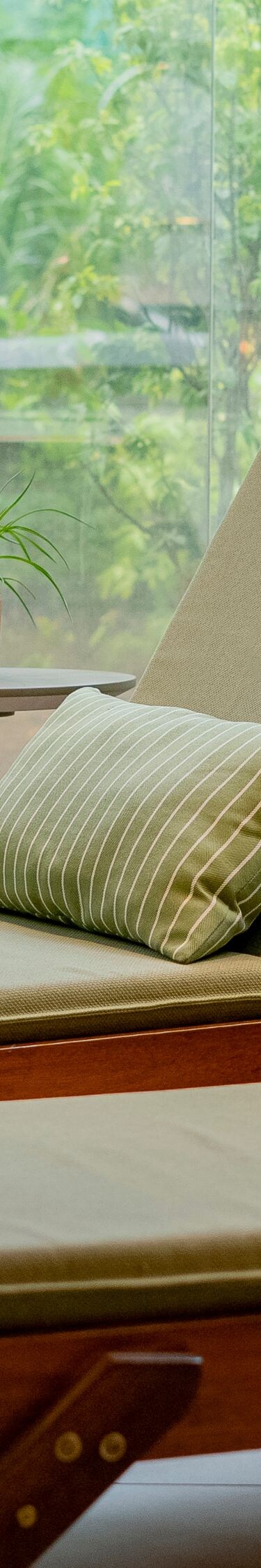 Spa, vista para o jardim, espreguiçadeiras, móveis