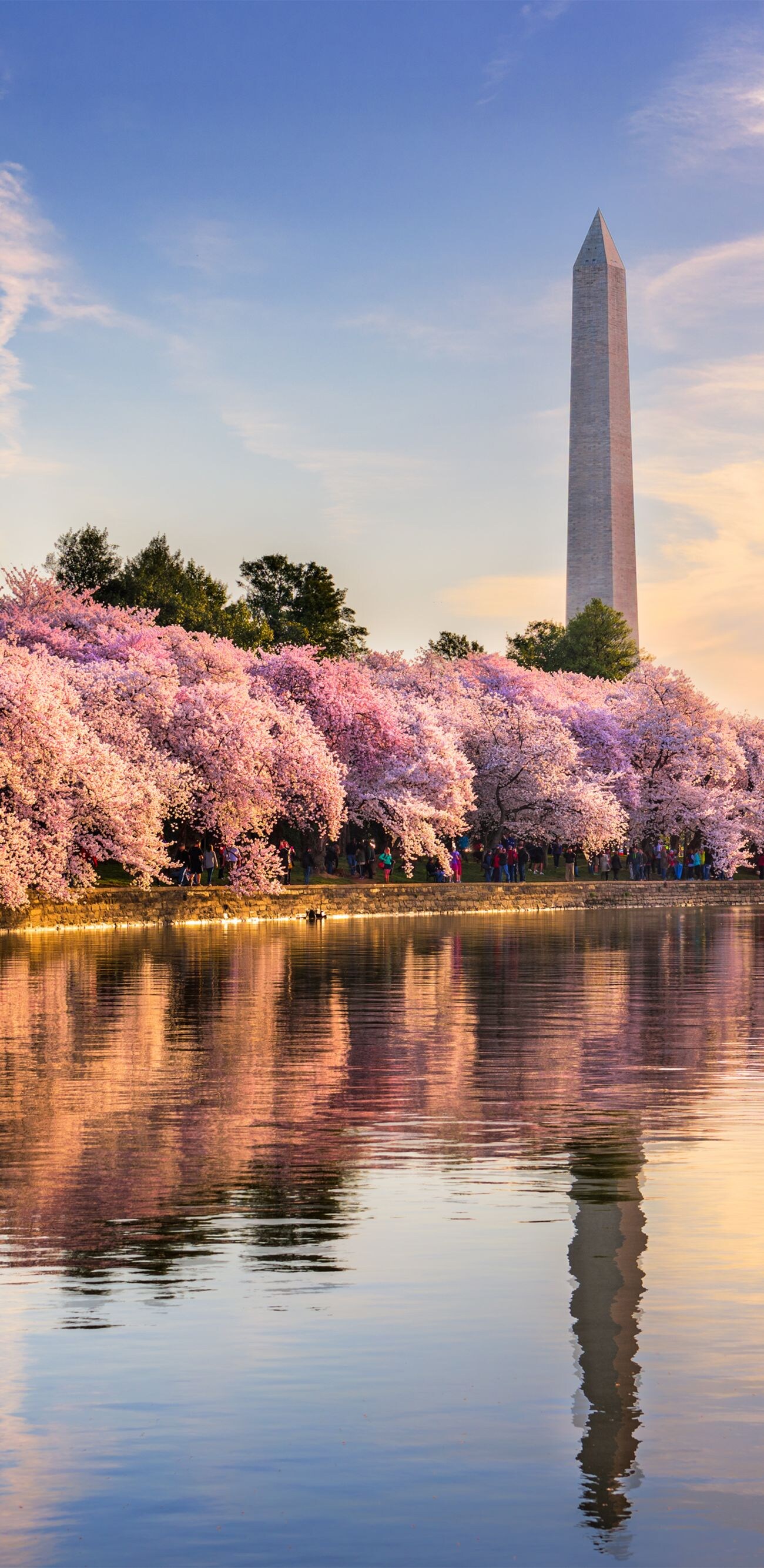 Washington Monument