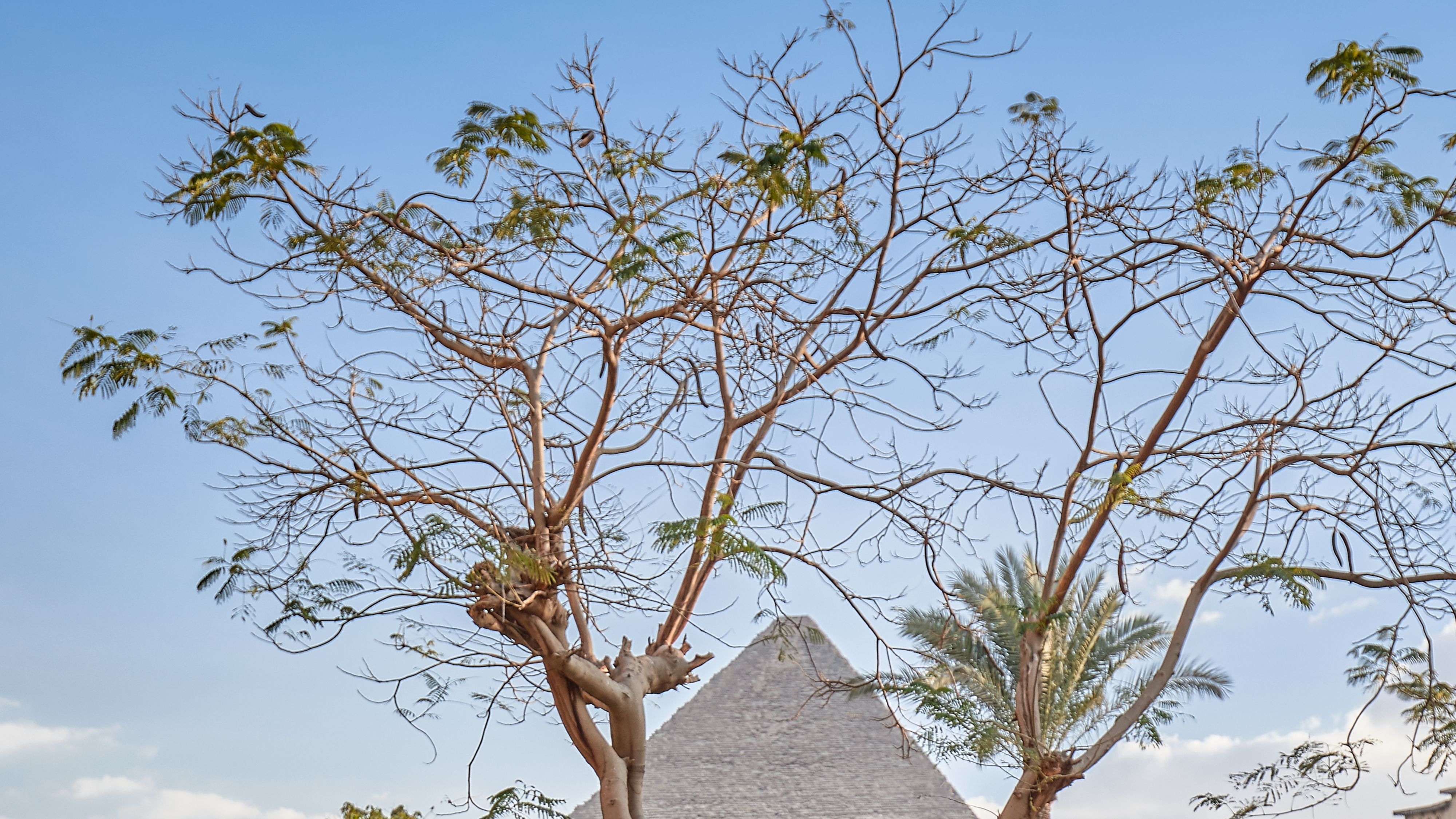 VIP Pyramids Experience with Private Golf Cart Transfer