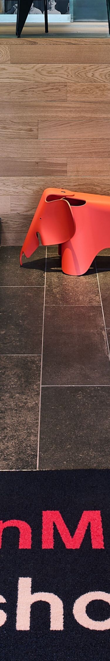 Interior view of hotel entrance and rug