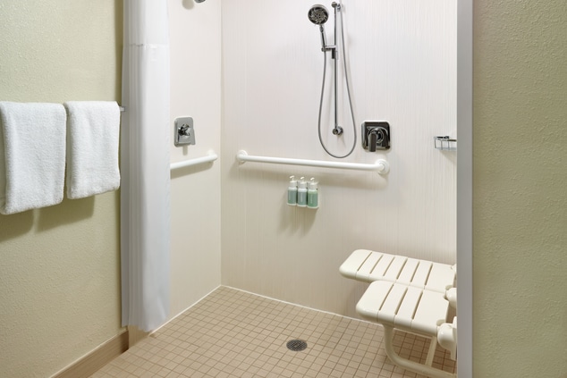 Roll-in shower with hand rails, accessible seating