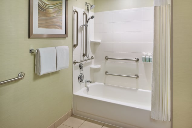 Bathroom with accessible handle bars