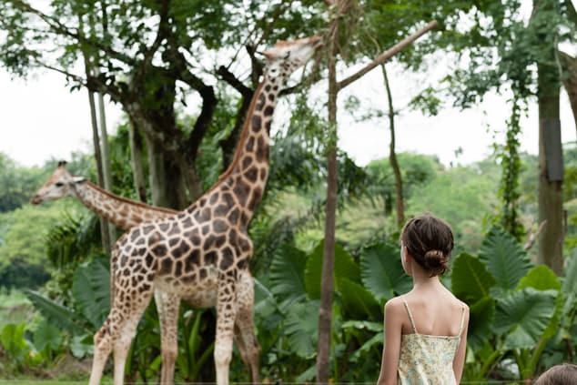 Girl standing in front of giraffes at Zoo Boise