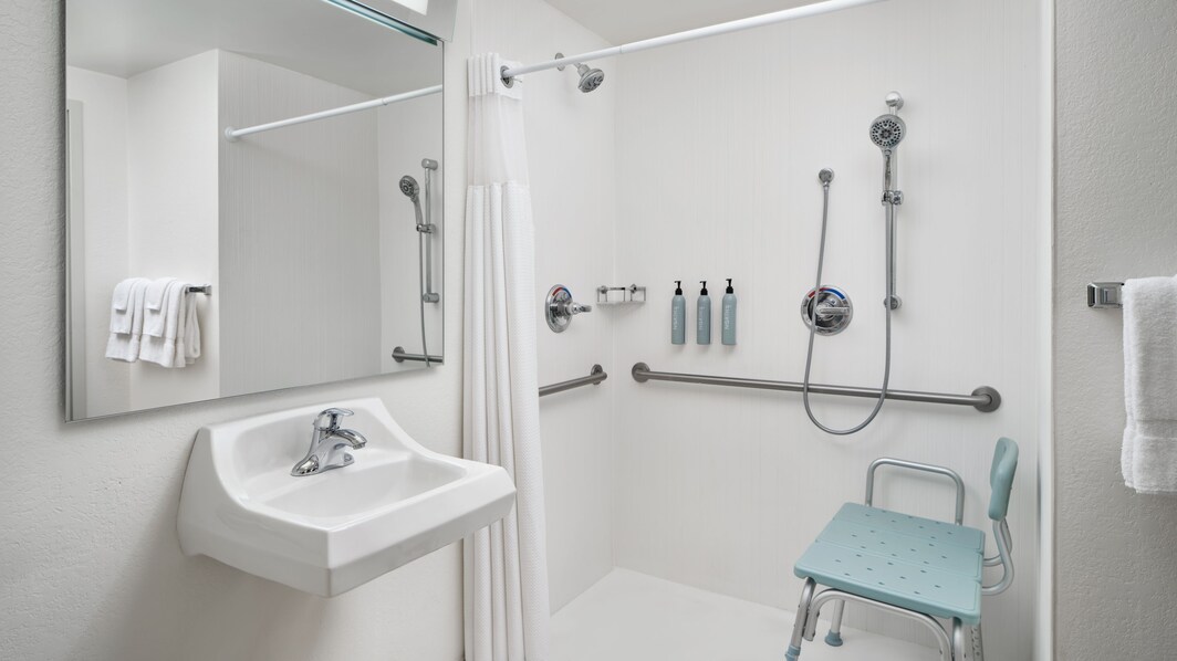 roll-in shower with accessibility aids 