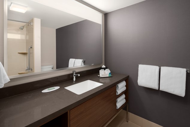 Bathroom with brown walls and countertop.