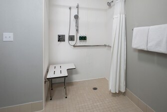 Accessible roll in shower with grab bar