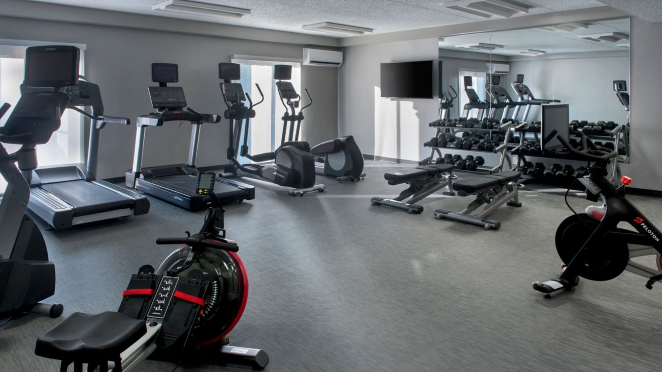 cardio equipment, free weights, tv, mirror