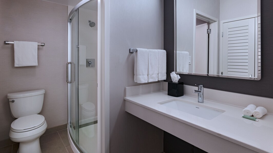 Bathroom with a vanity, toilet, and shower.