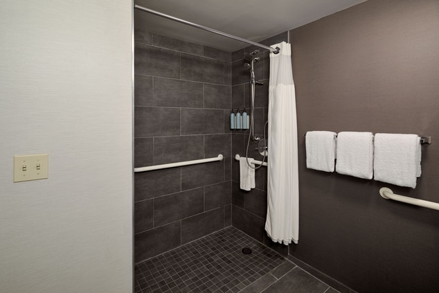 Accessble Bathroom - Roll-In Shower