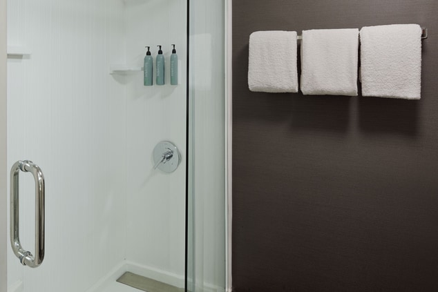 Standard Bathroom with Walk-In Shower