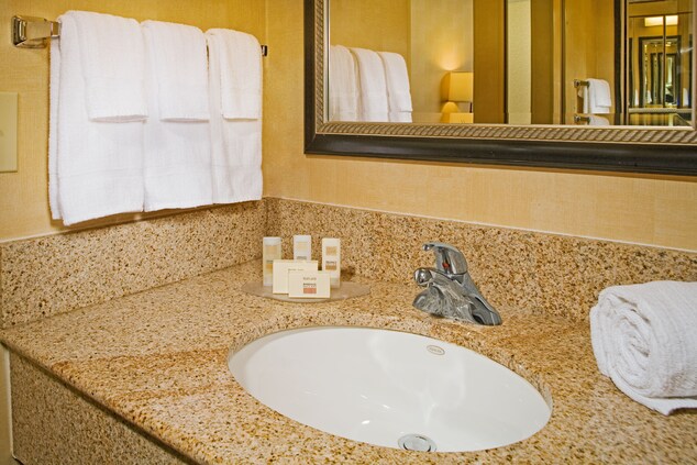 Bathroom sink with large mirror and toiletries