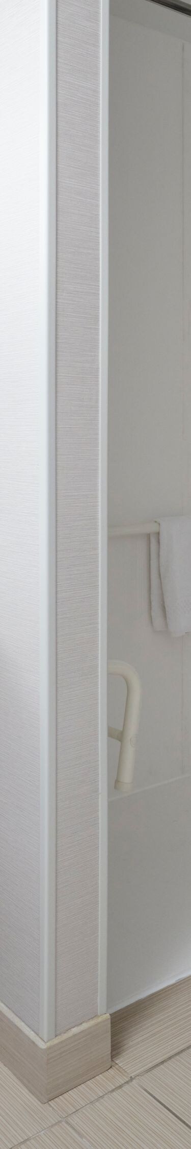 Accessible bathroom with roll-in shower