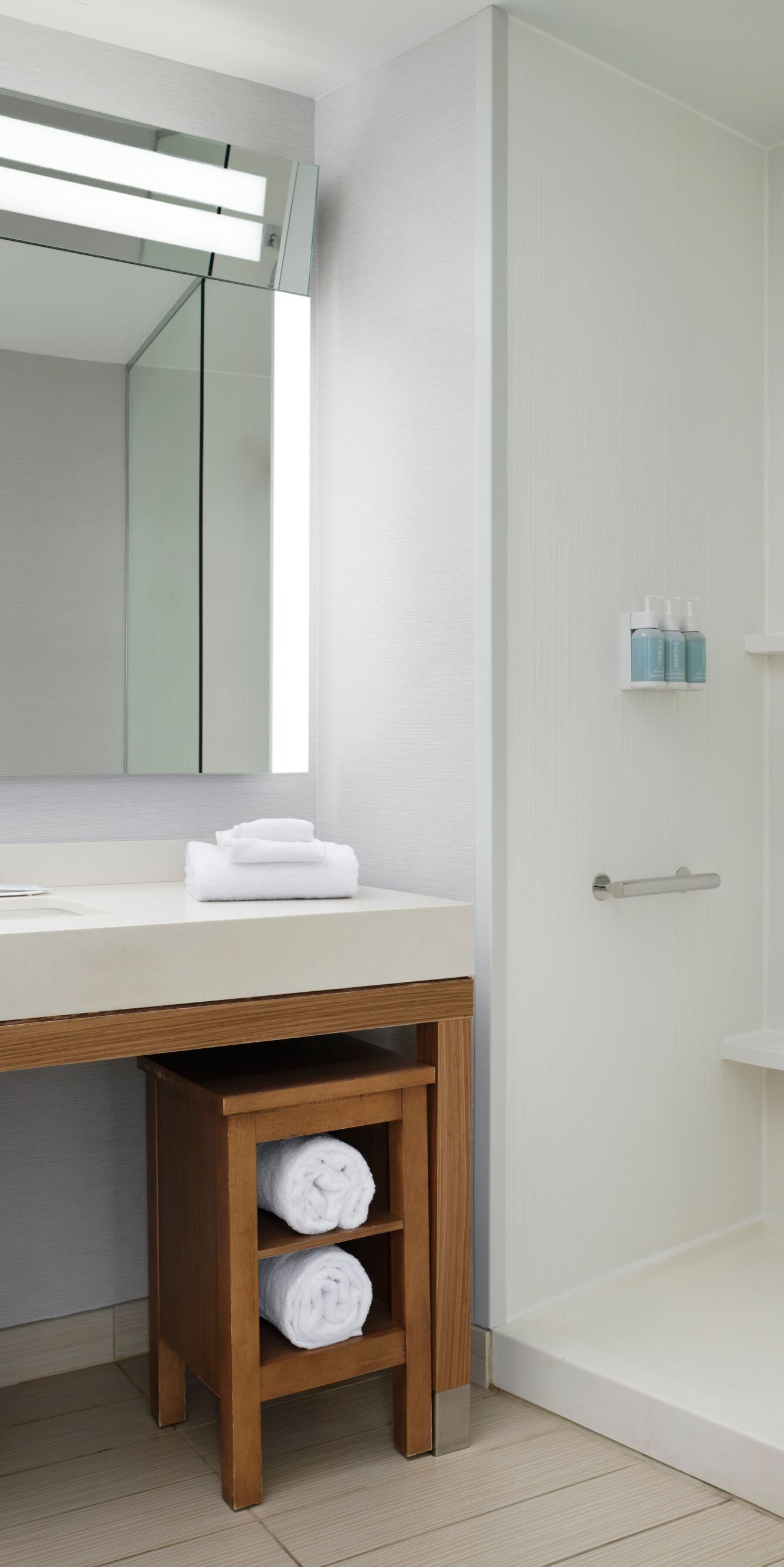 Suite bathroom with walk-in shower