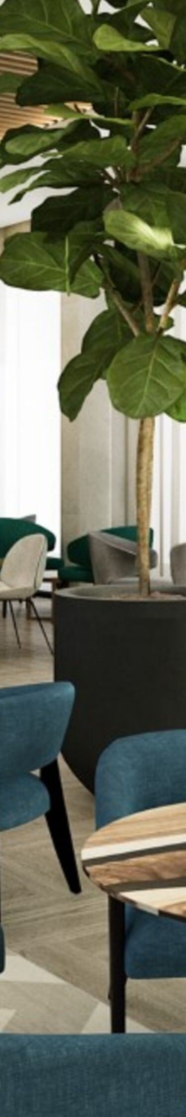 Coffee & Bar Lounge