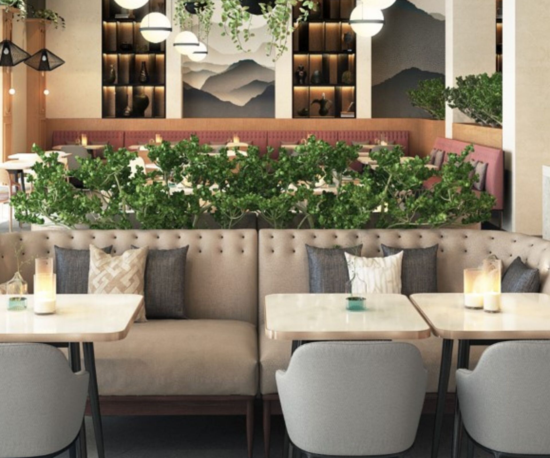 Sheba Restaurant 