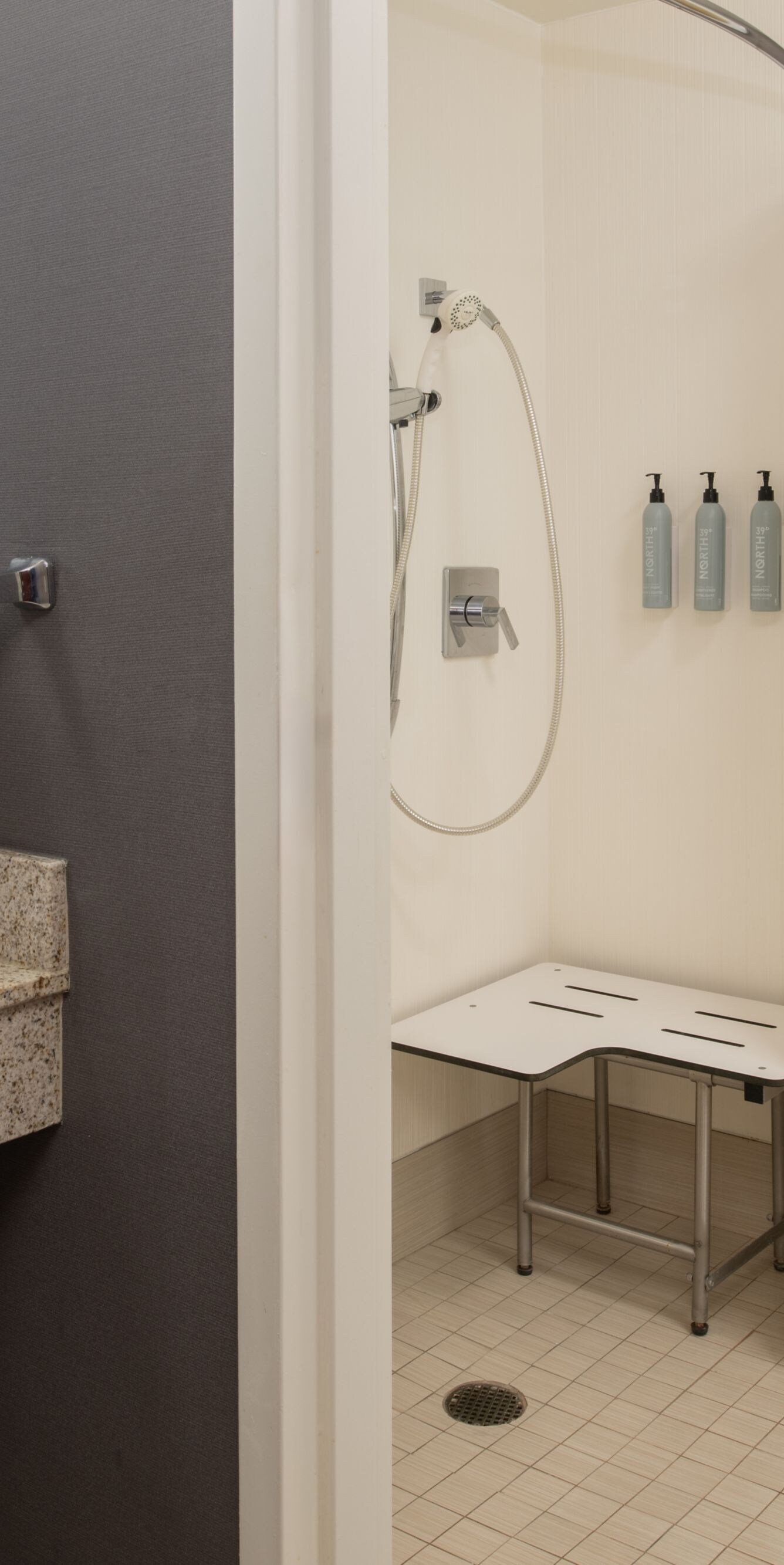 accessible bathroom with roll-in shower