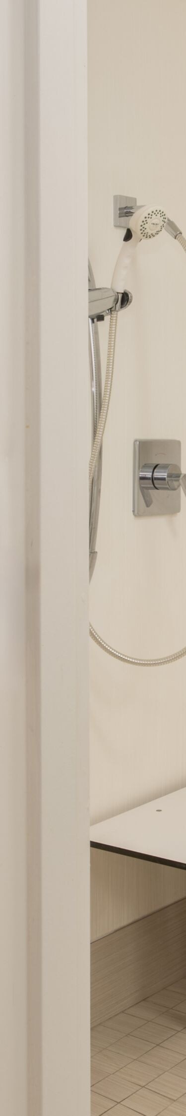 accessible bathroom with roll-in shower