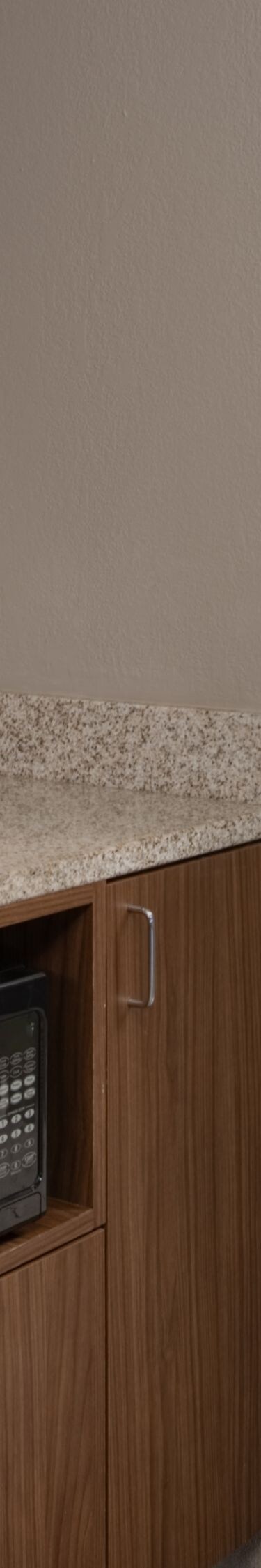 counter with mini-fridge and microwave