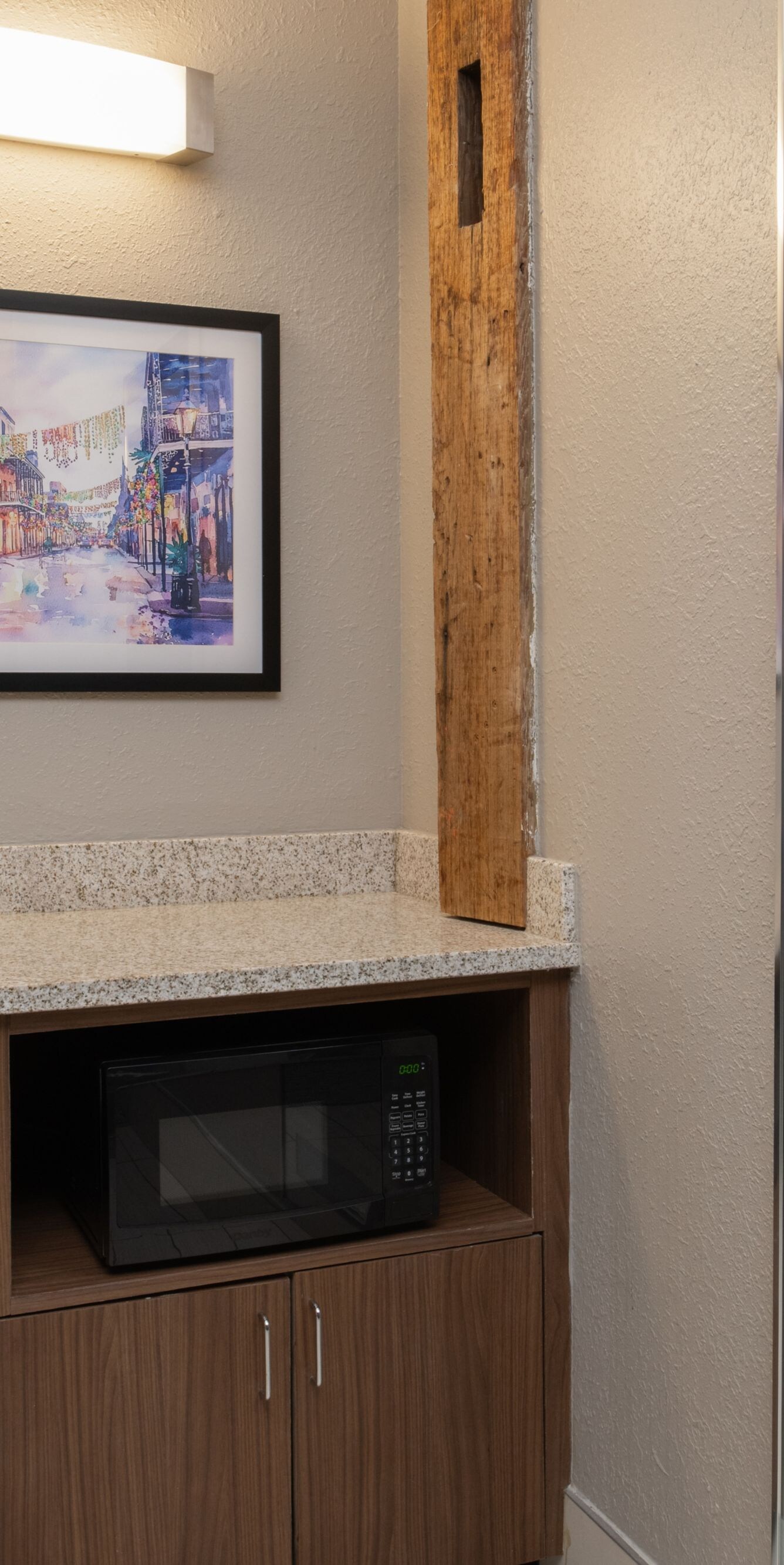 Microwave and Mini fridge