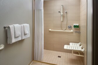 accessible roll in bathroom shower