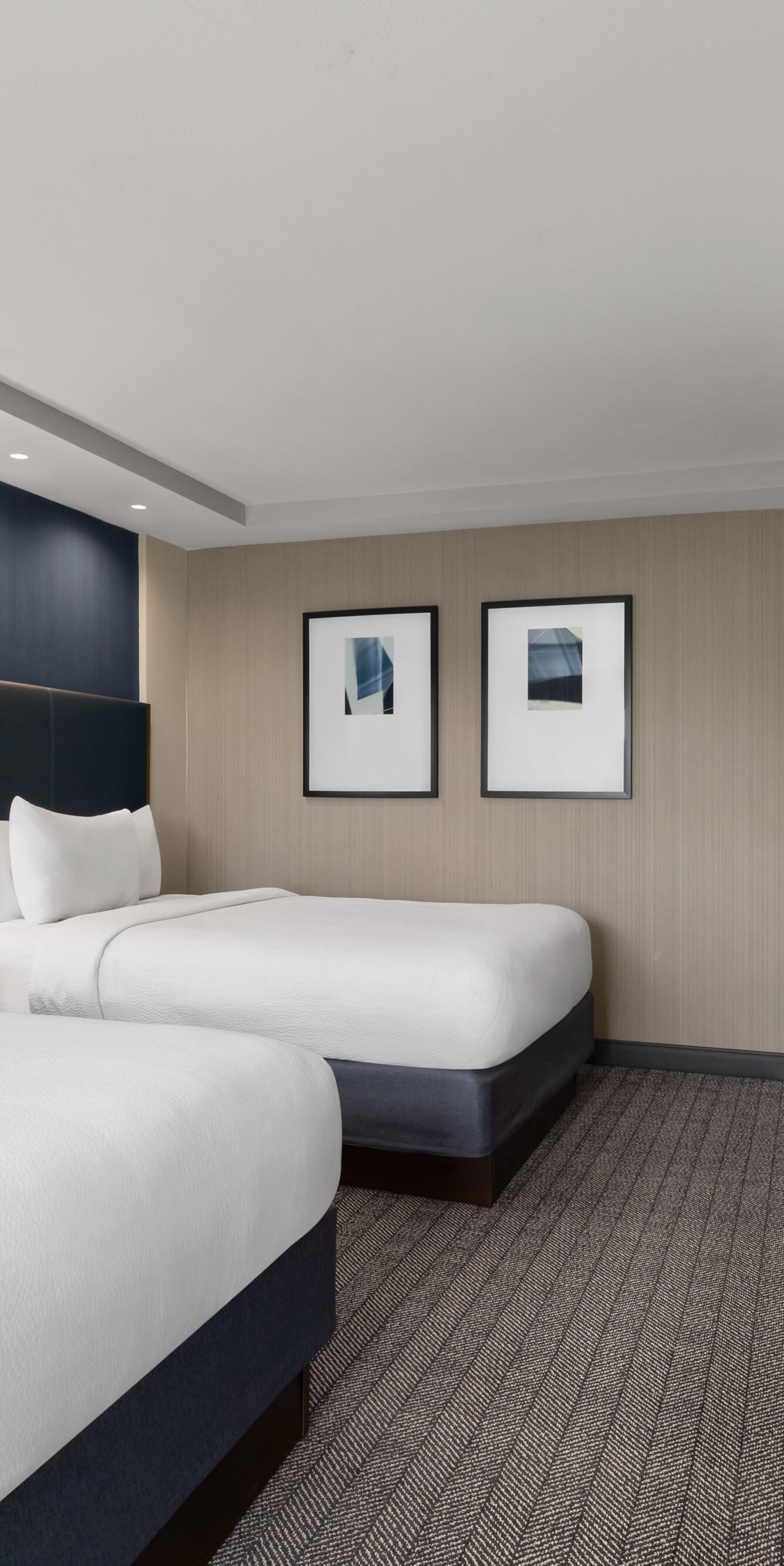 Two queen beds with work desk and blue wall