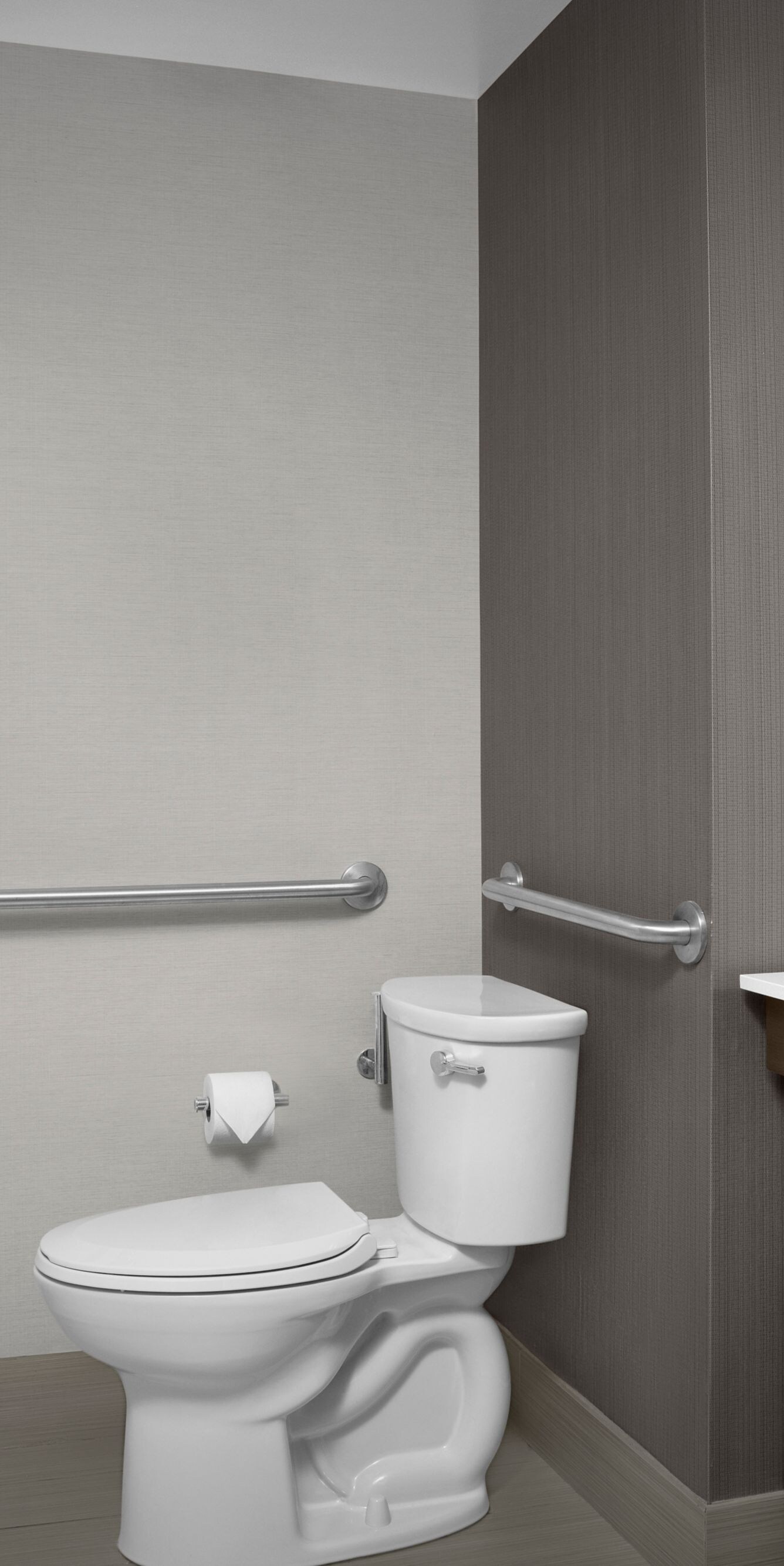 Accessible Bathroom with handrails