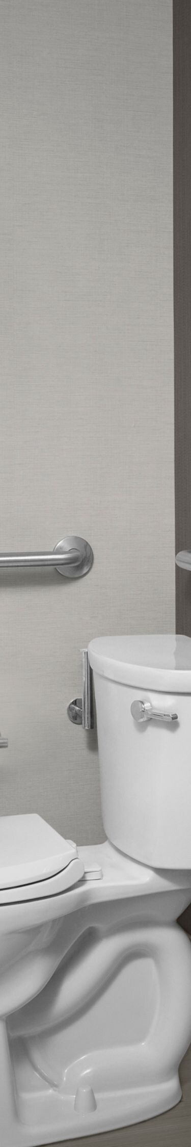 Accessible Bathroom with handrails