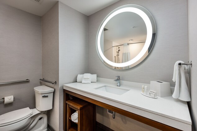 Bathroom vanity, mirror, and toilet 