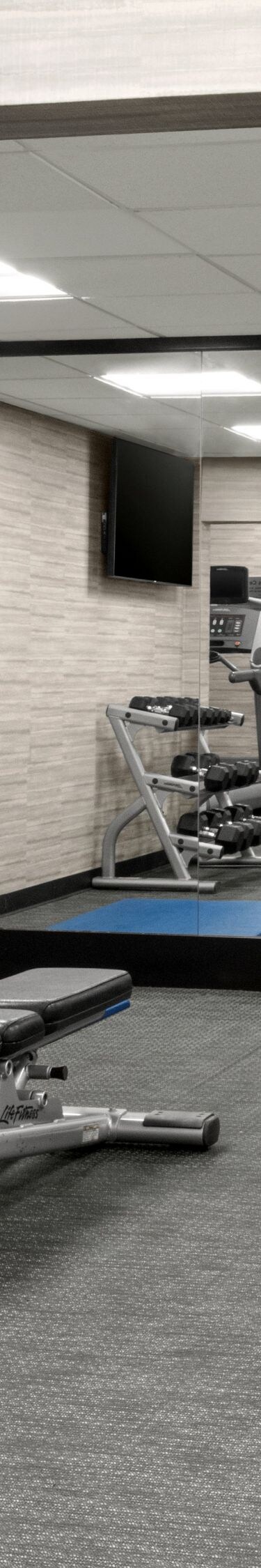 Strength training equipment and free weights