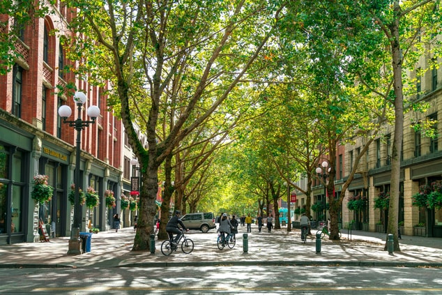 Occidental Park with bicyclists in the daytime.