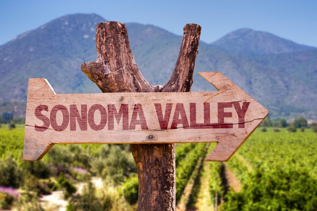 Sonoma Valley Sign and Vineyard