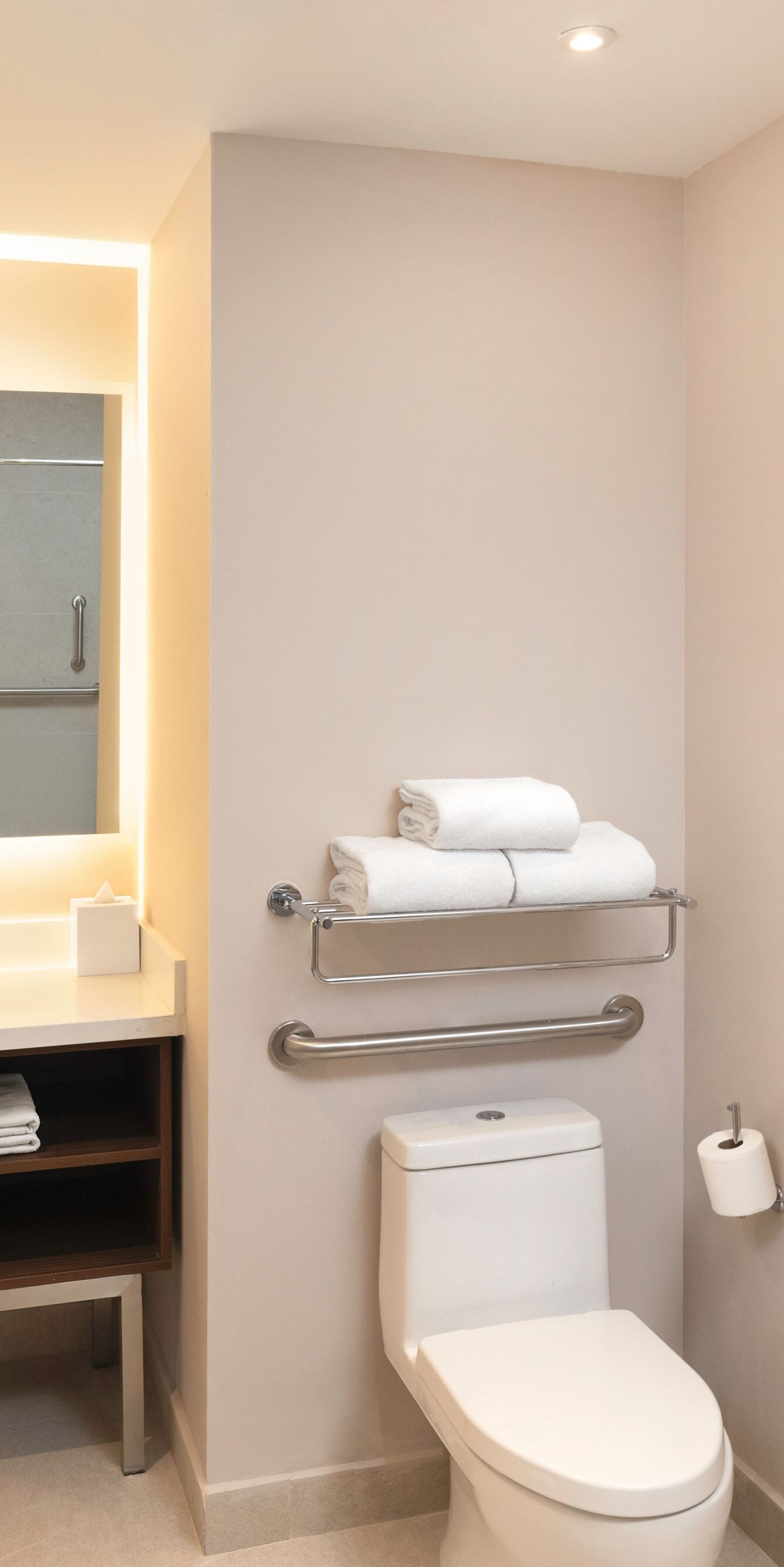 Accessible bathroom with grab bars