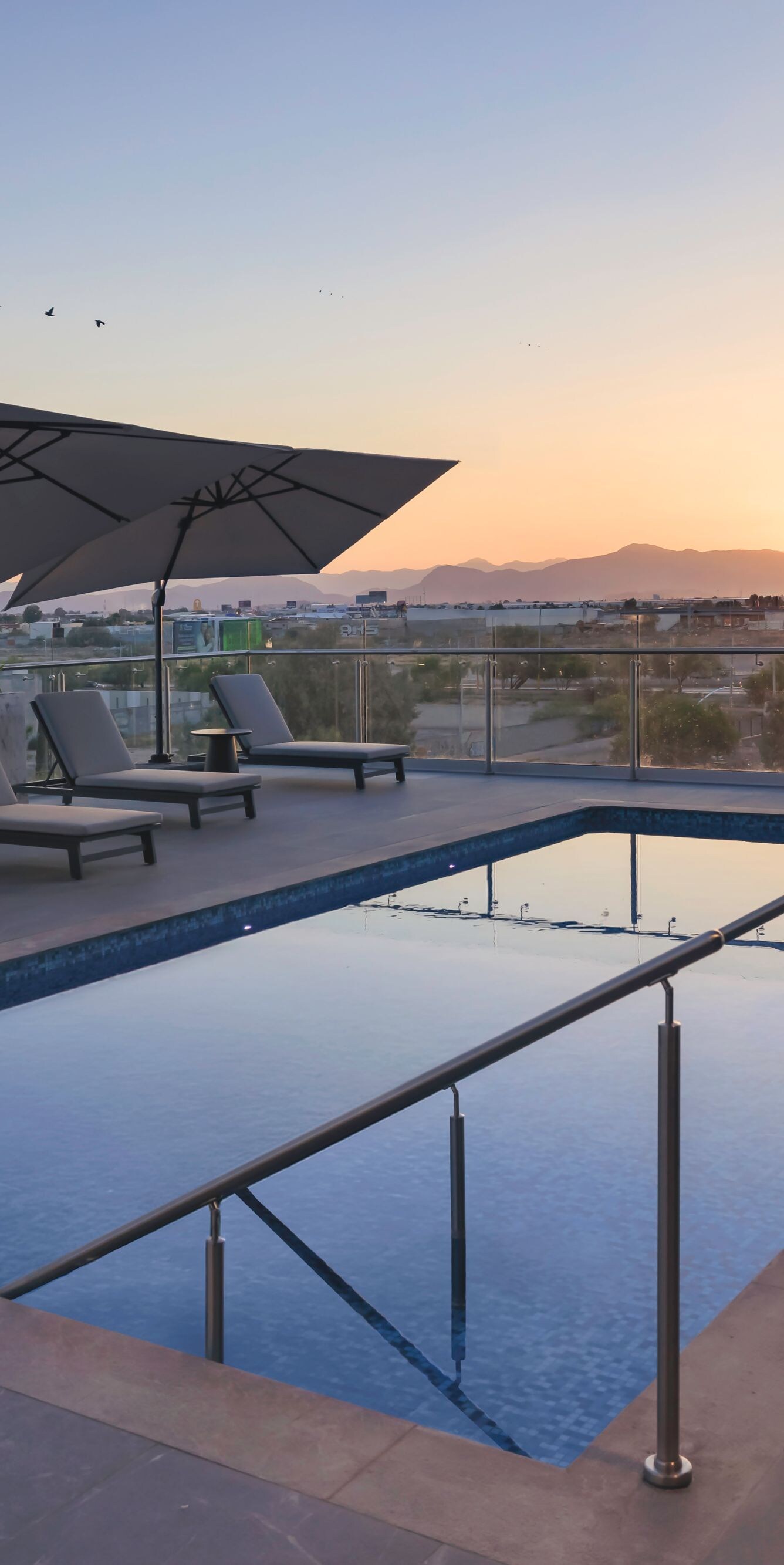 Rooftop pool with sunset and city views