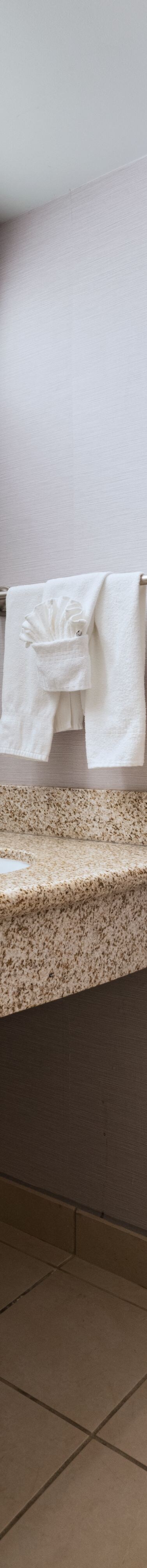 Separate vanity and bathing areas