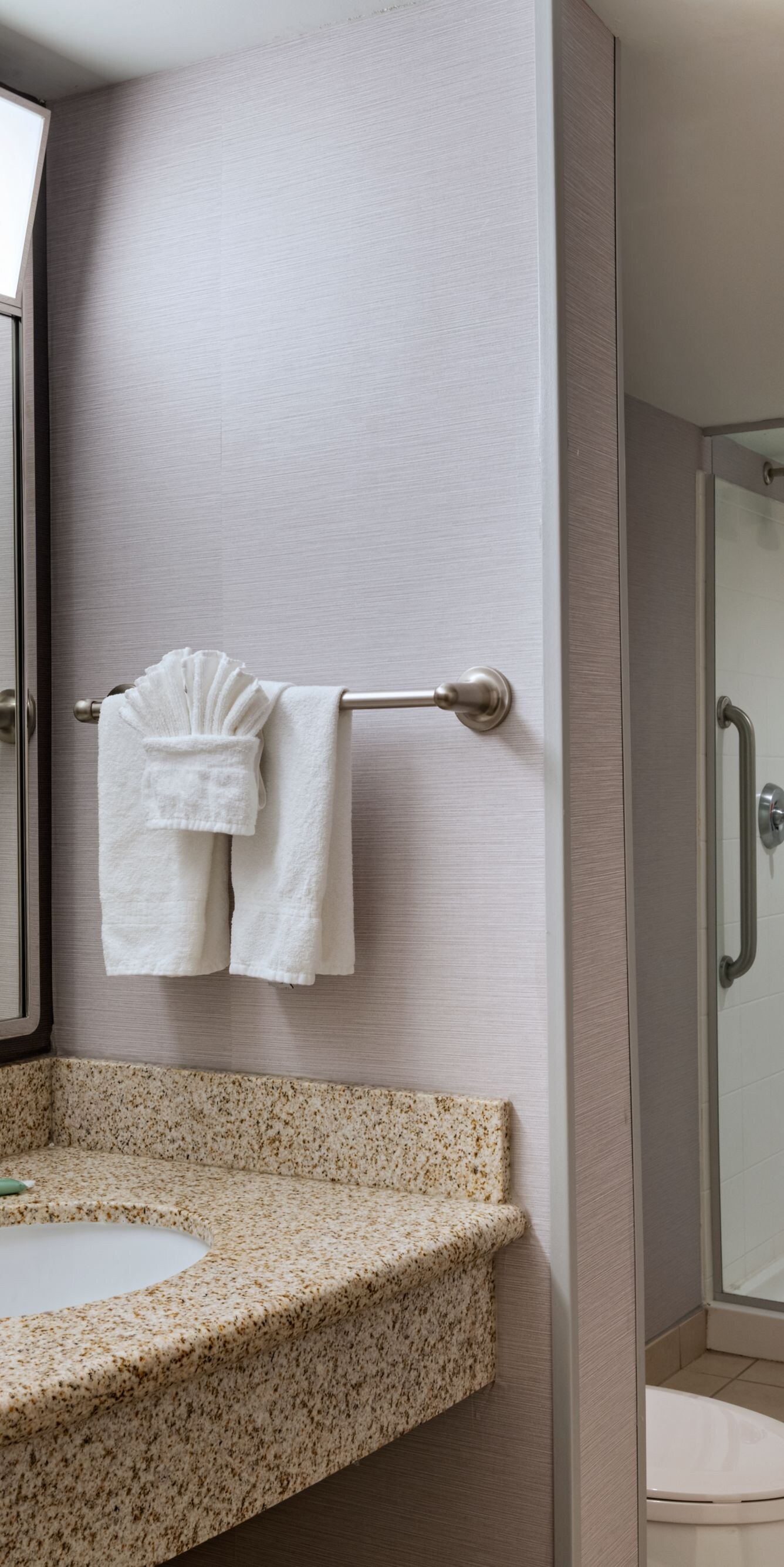 Glass-enclosed, walk-in shower and vanity area