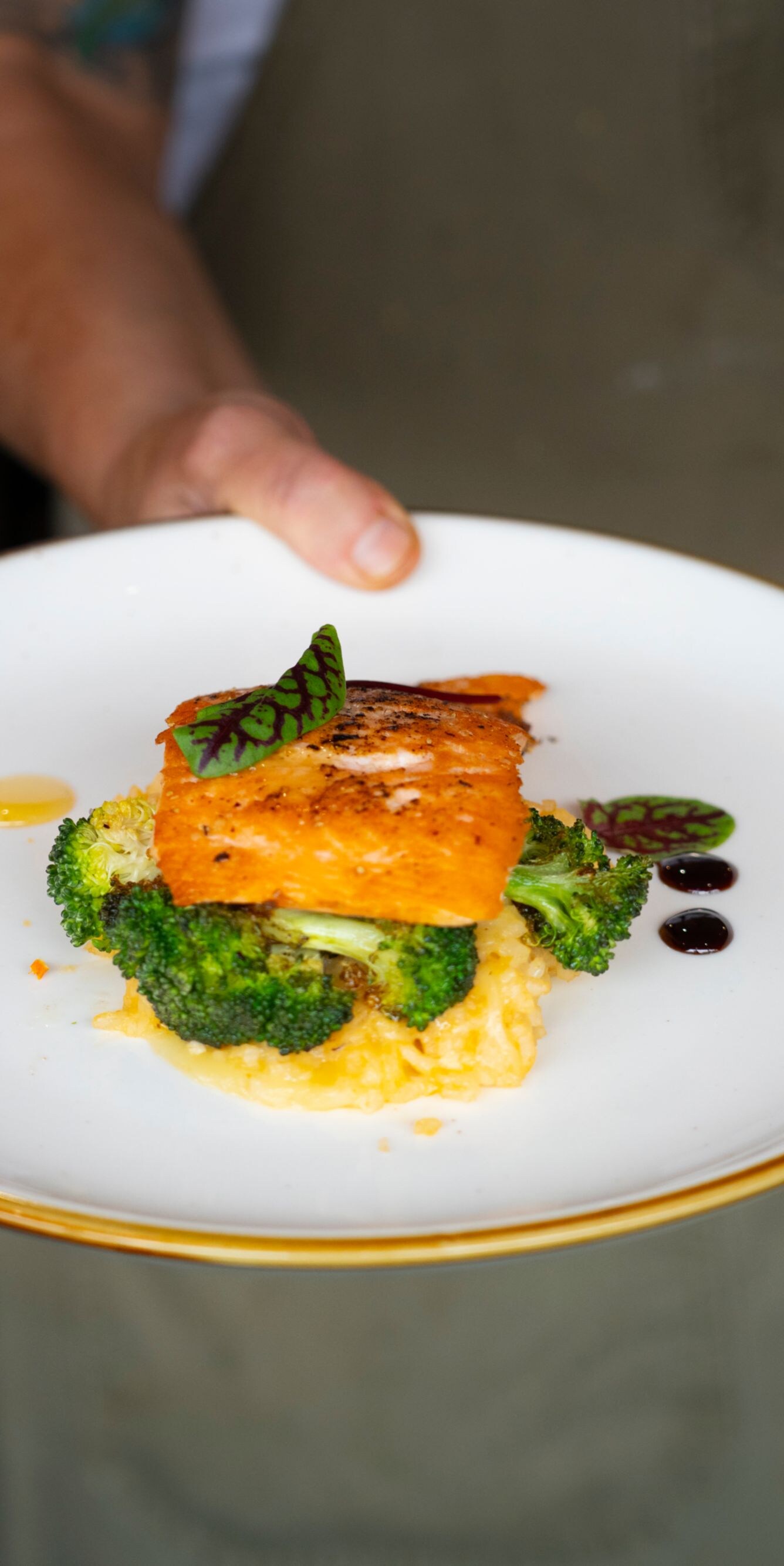 salmon, rice, and broccoli dinner dish