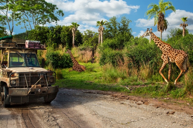 Disney Safari with giraffes and truck.