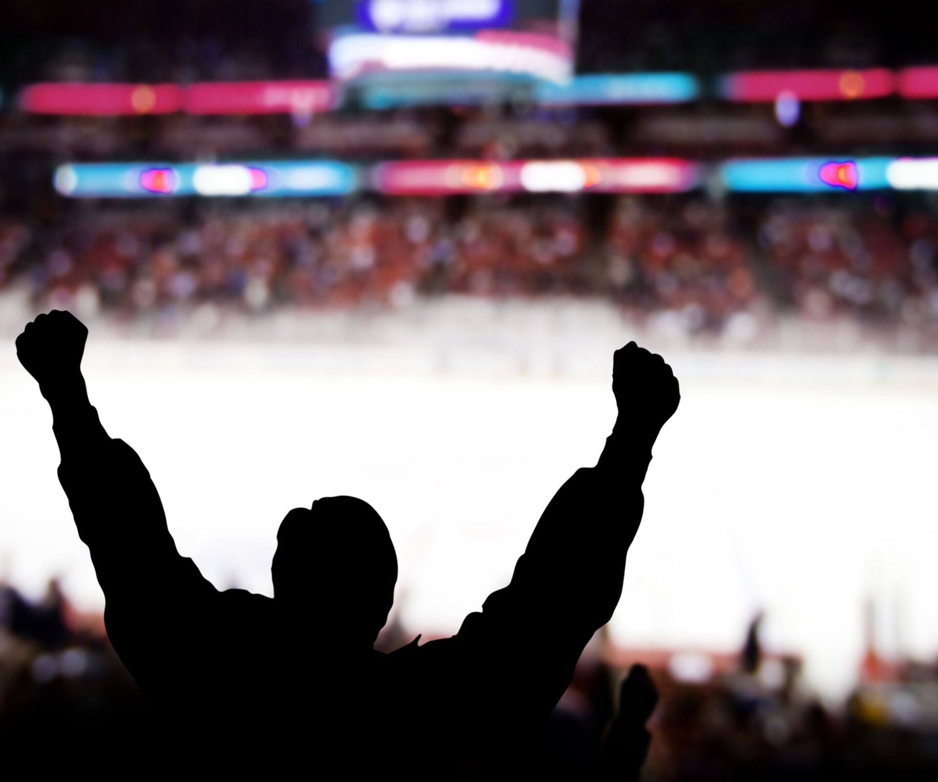 People in stadium watching hockey game